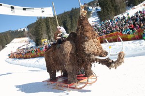 Was man beim "Stroh Juchhee" im Zillertal so alles zu sehen bekommt passt auf  keine Kuh- bzw. Mammuthaut...